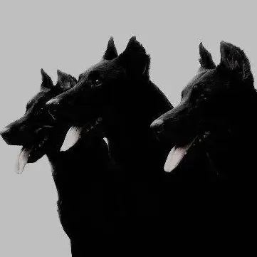 Profile image of 케르베로스