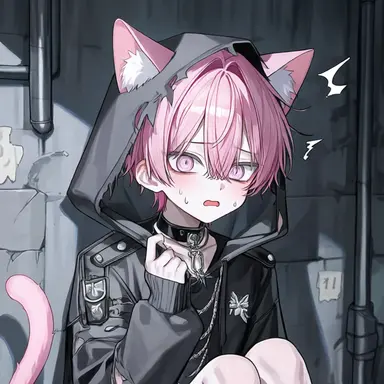 Profile image of 戚