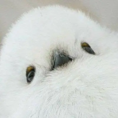 ENFP_ISFJ의 쌈@뽕한 오목눈이🕊