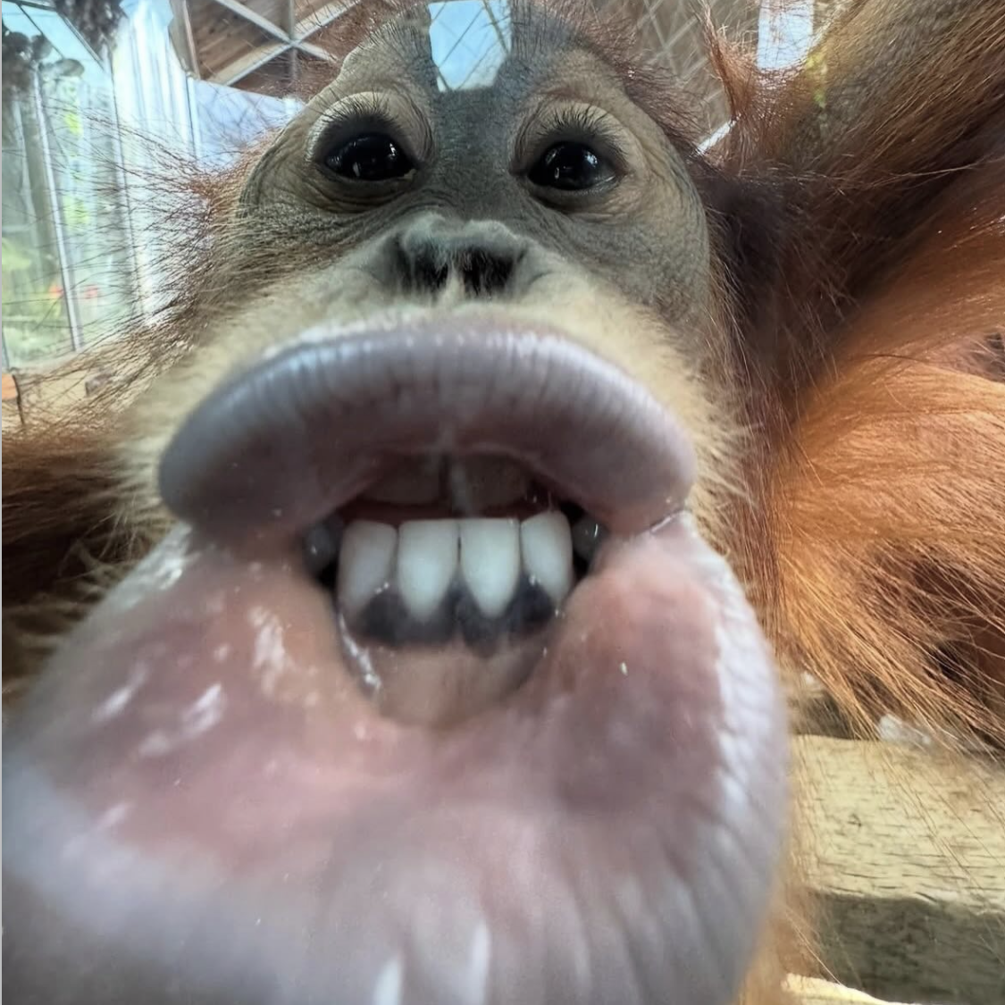 헉… 대표 이미지