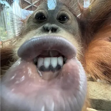 Profile image of 학교