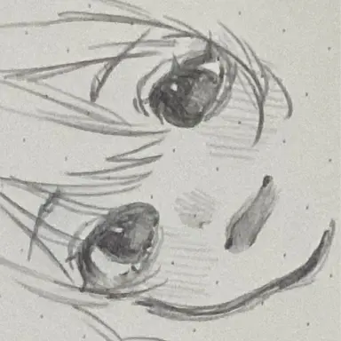 Profile image of 여우