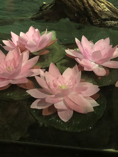 ☀️ 대표 이미지