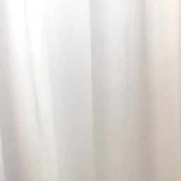 공룡