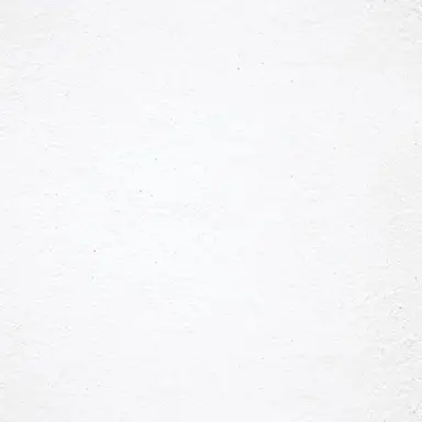 Profile image of 김준완