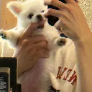 Profile image of 이민혁