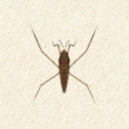 잭이었던 것 (로맨스 학습 이슈로 폐기)