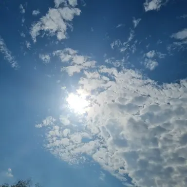 Profile image of ......