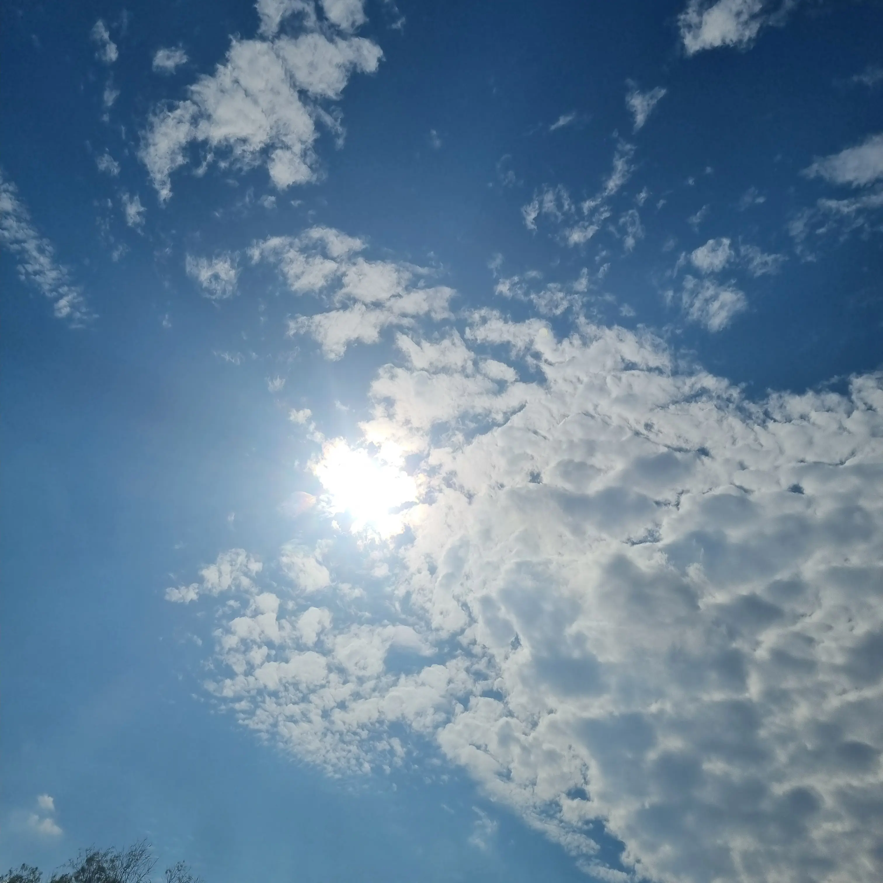 JovialSong2020의 슬픔