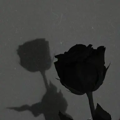 Profile image of 이태혁