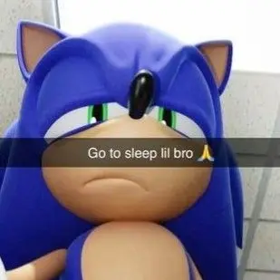 Profile image of Chaotic Sonic Sleepover