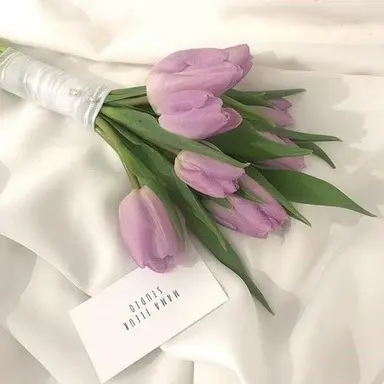 Profile image of 오토 레이니