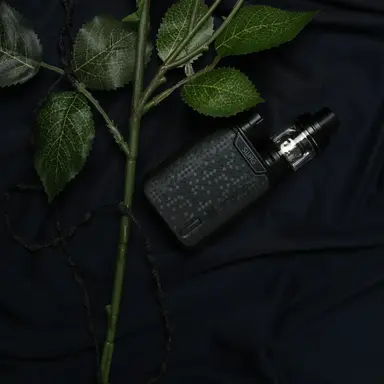 Profile image of 장인서