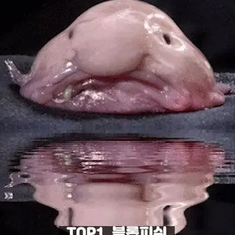 Profile image of 이수연