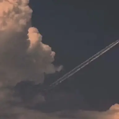 Profile image of ルセラ