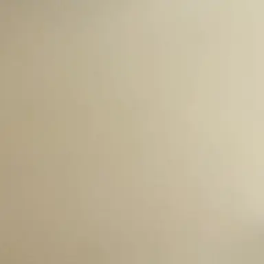 Profile image of 여자애들