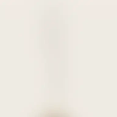 Profile image of 銀