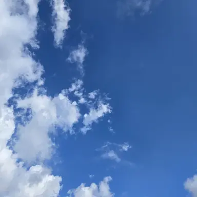 Profile image of 유현진