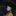최 별