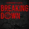 Profile image of ブレイキングダウン