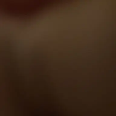 Profile image of YJ