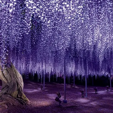 DrunkMedal2388의 剣持刀也