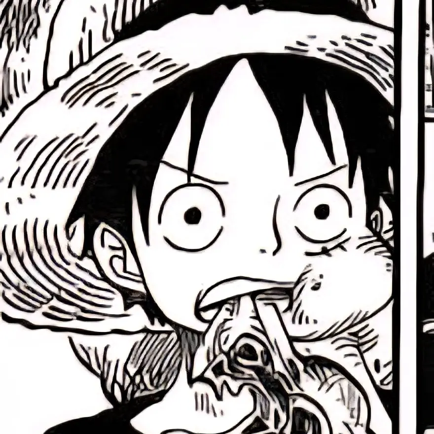 Skygain의 One Piece!