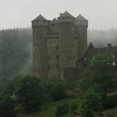 Profile image of Medieval times