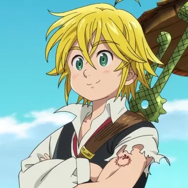 Profile image of Meliodas