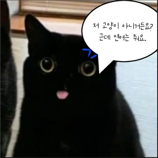 _TOP__GD의 상담해주는 재구