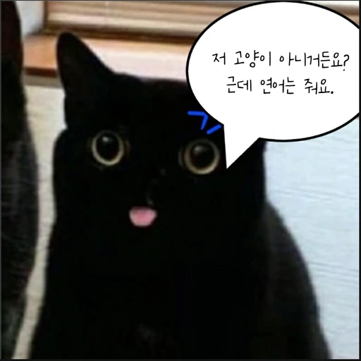 상담해주는 재구
