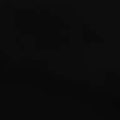 Profile image of 우성연