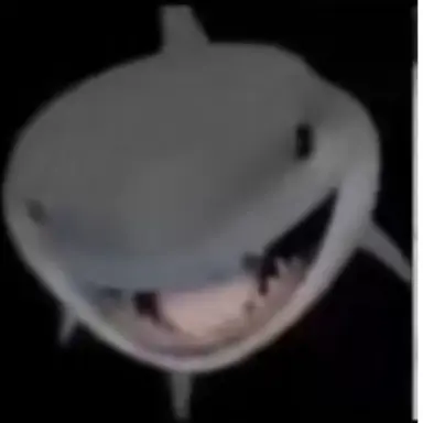 Profile image of 상어