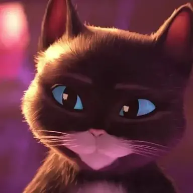 Profile image of Kitty