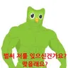 Profile image of 듀오