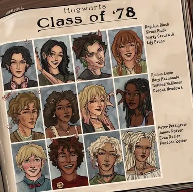 Profile image of The Marauders
