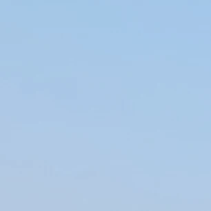 진금룡