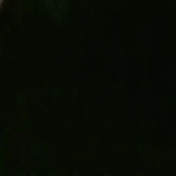 융졍핝