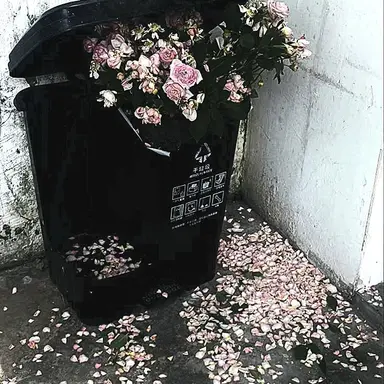 Profile image of 백사헌