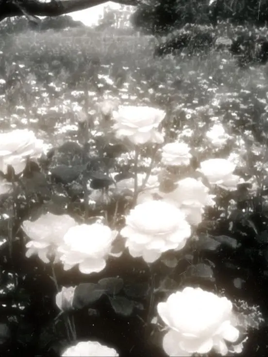 su1tek1_mnsb의 魔法少女ノ精神病院