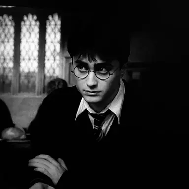 Profile image of Harry Potter