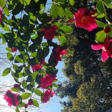 Profile image of 감제이