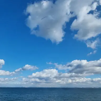 Profile image of 연