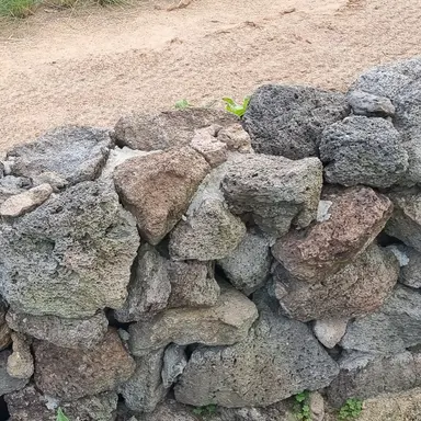 Profile image of 늦잠