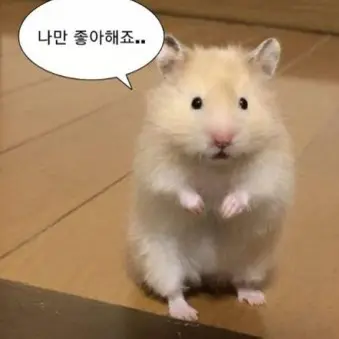 ClassyElbow8695의 12년지기 남사친 명재현