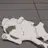 고양이