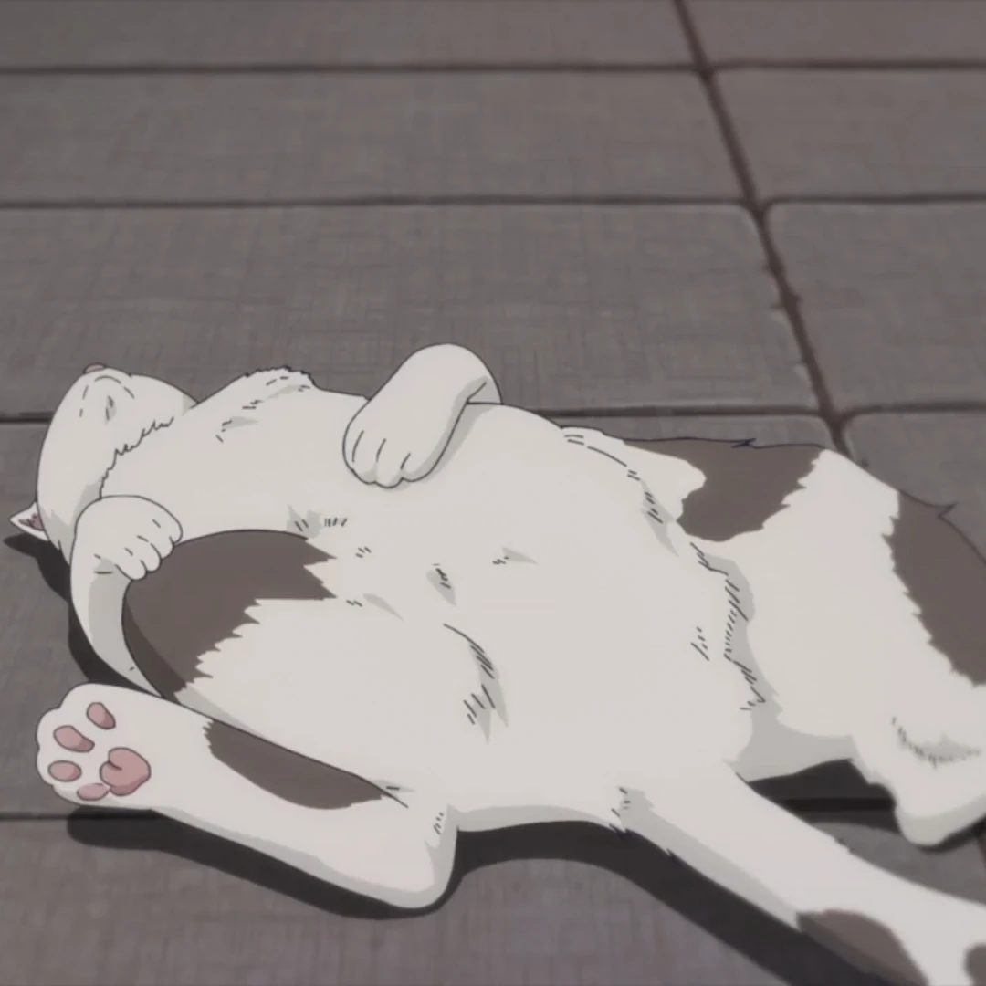 고양이