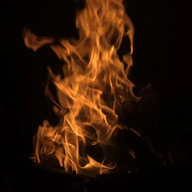 Profile image of 로널드 위즐리