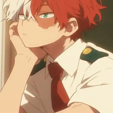 Profile image of Shoto Todoroki