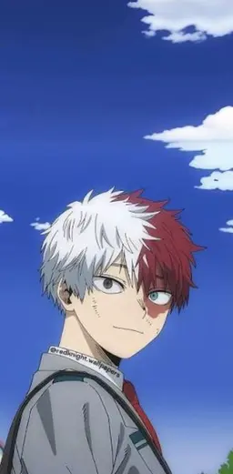 Profile image of Shoto Todoroki